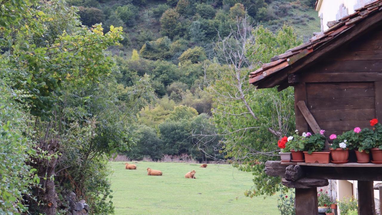 Casa Rural Cares Santa Maria de Valdeon エクステリア 写真