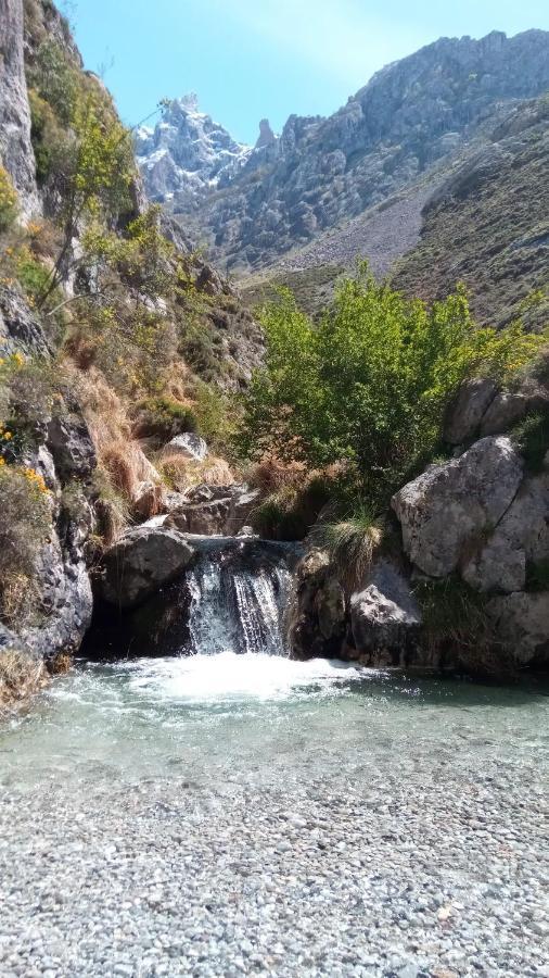 Casa Rural Cares Santa Maria de Valdeon エクステリア 写真