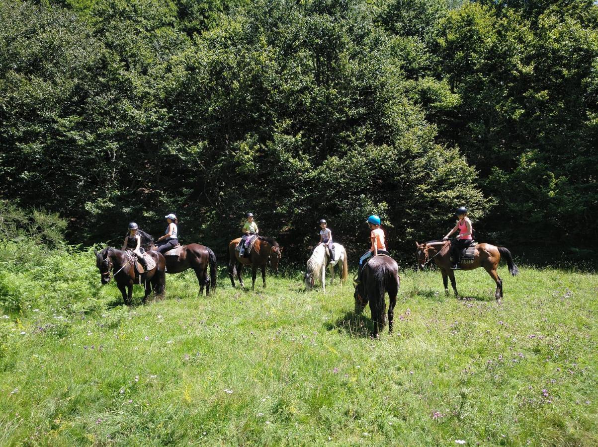 Casa Rural Cares Santa Maria de Valdeon エクステリア 写真