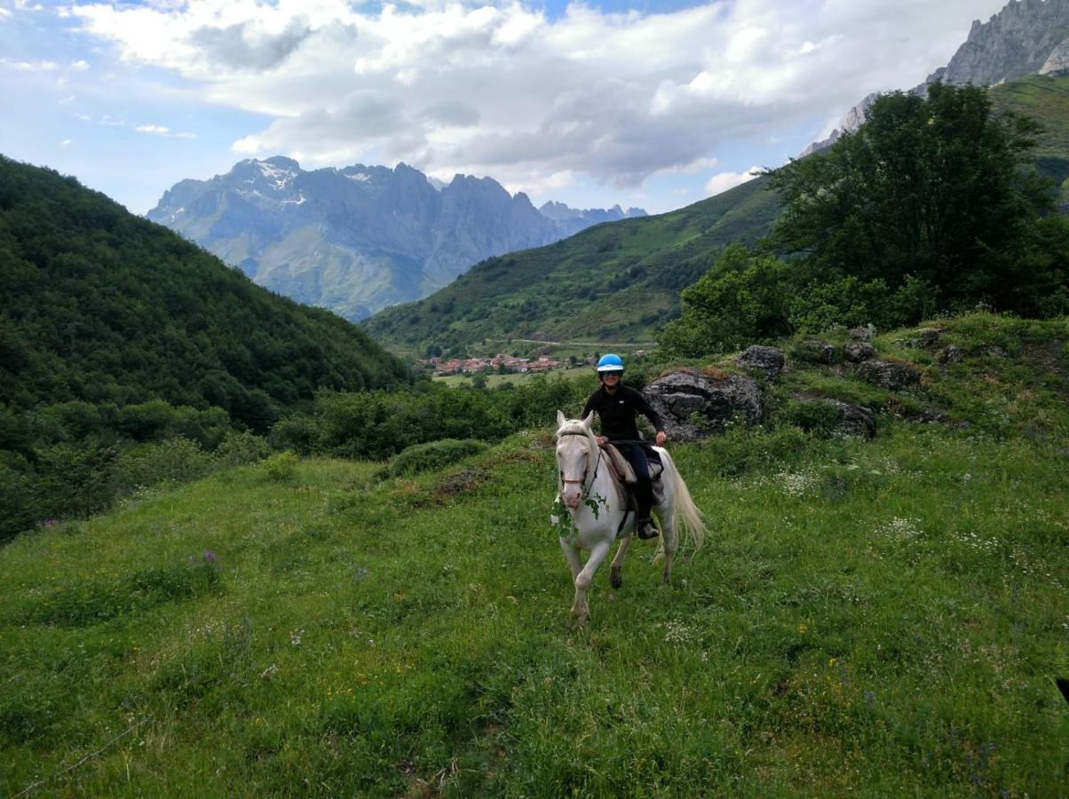 Casa Rural Cares Santa Maria de Valdeon エクステリア 写真